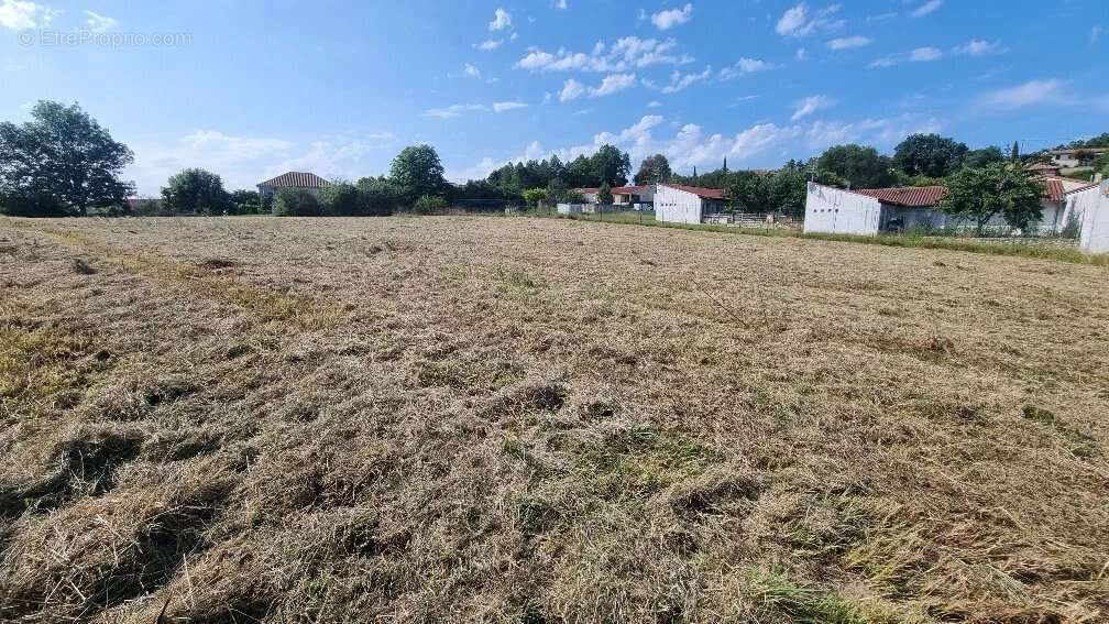 Terrain à CASTELNAU-MONTRATIER