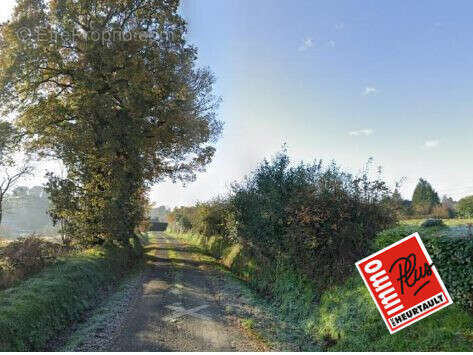 Terrain à SAINT-BRANDAN