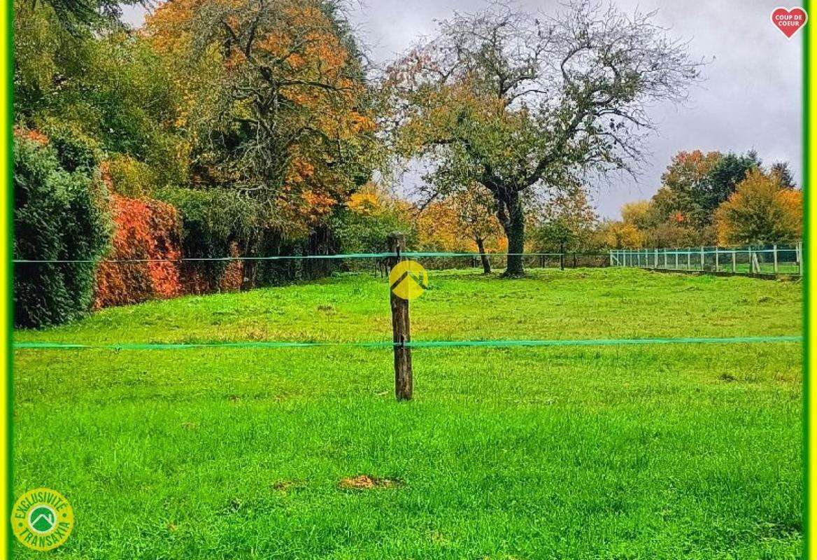 Terrain à MERY-ES-BOIS