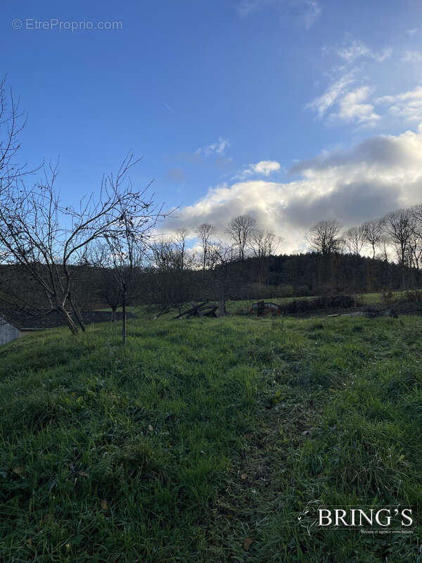 Commerce à VILLAINES-LA-CARELLE