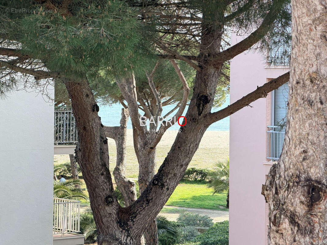 Appartement à ARGELES-SUR-MER