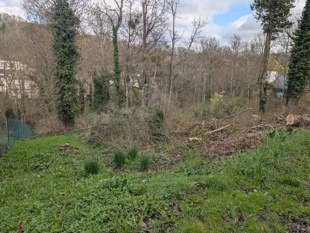 Terrain à FONTAINE-LE-PORT