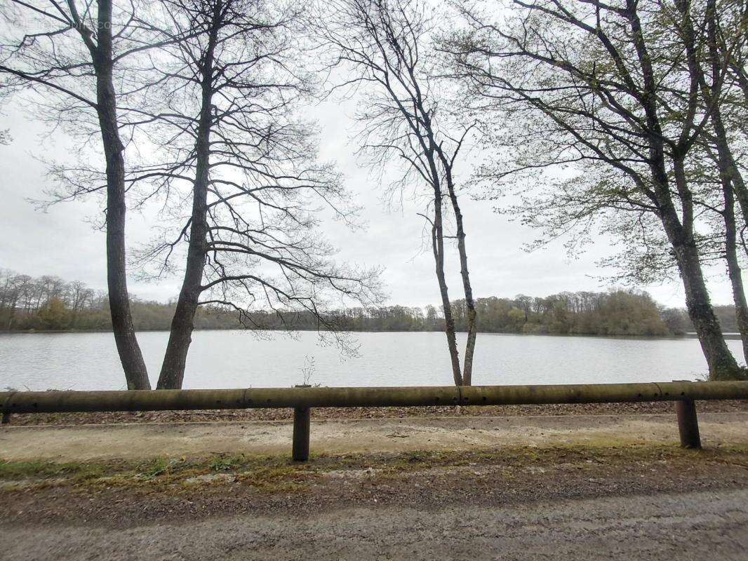 Maison en campagne à rénover, 125m² au sol, étang - photo 9