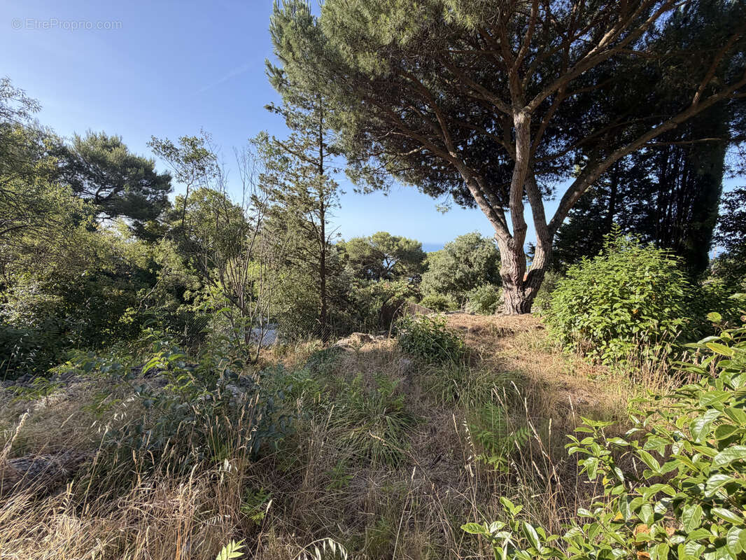 Terrain à SETE