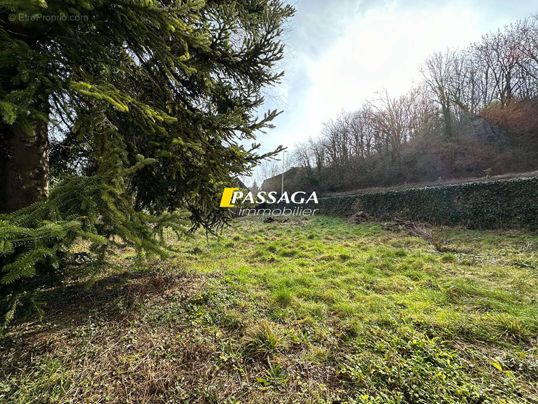 Maison à BERTHOLENE