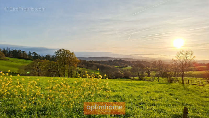 Terrain à SAUVETERRE-DE-BEARN