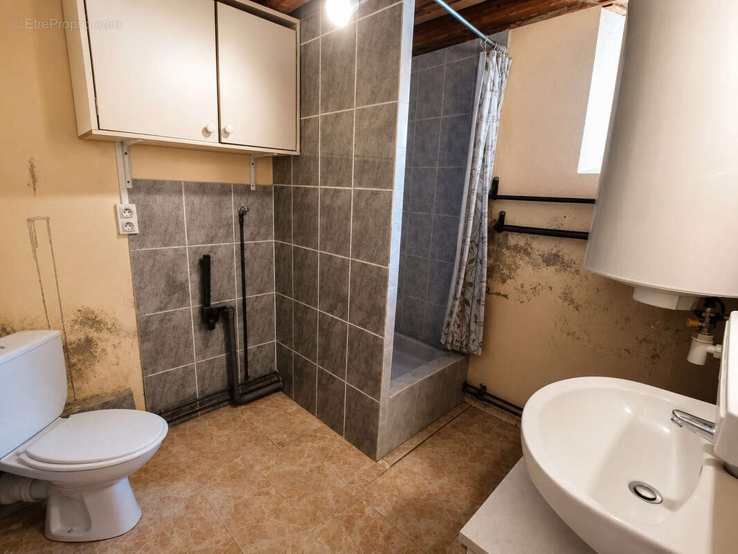 Maison 73 m² à Folles  - photo 6