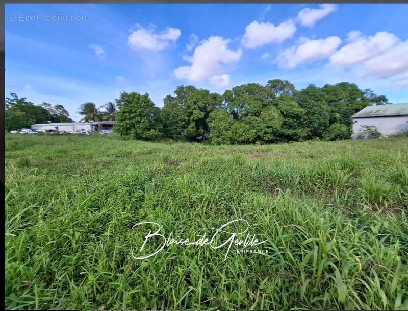 Terrain à SAINTE-ANNE