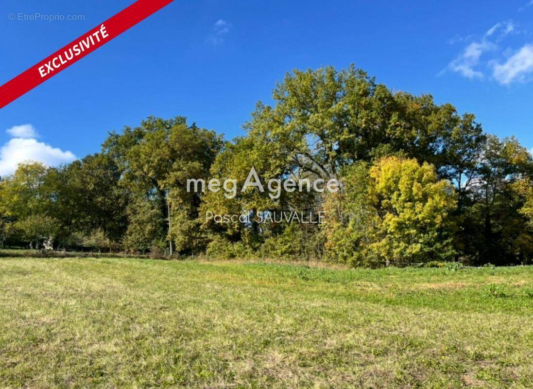 Terrain à SAINT-GERMAIN-DU-SALEMBRE