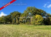 Terrain à SAINT-GERMAIN-DU-SALEMBRE