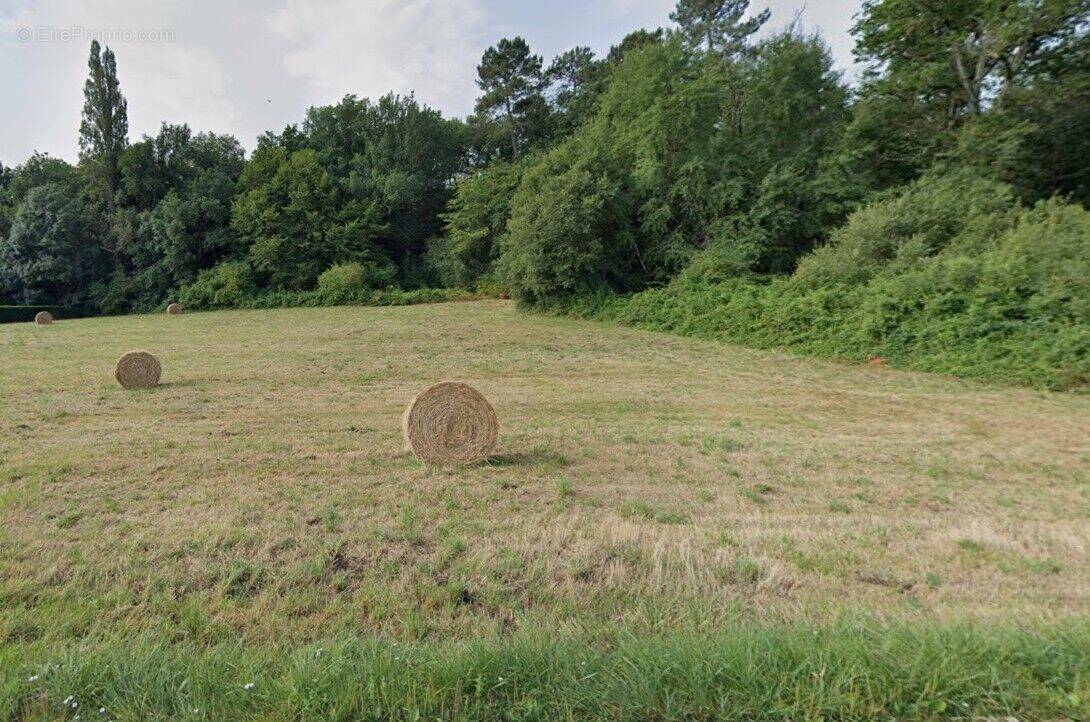 Photo 1 - Terrain à BERGERAC