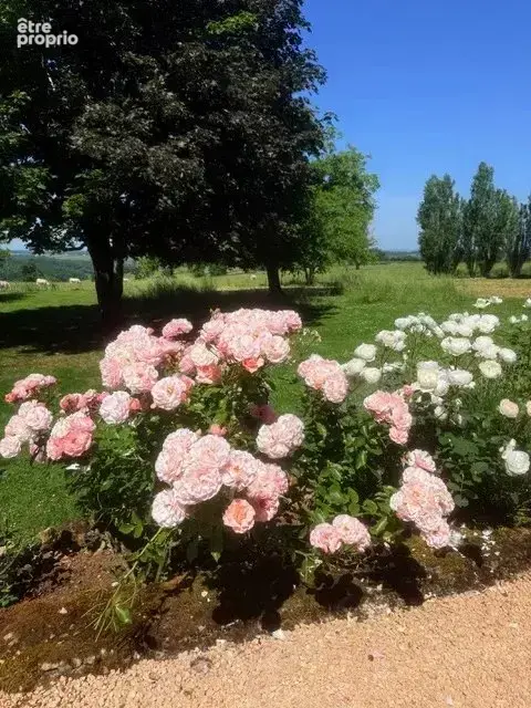 AUTHENTIQUE !!! Grande et belle maison en pierre dans un cadre préservé - photo 84