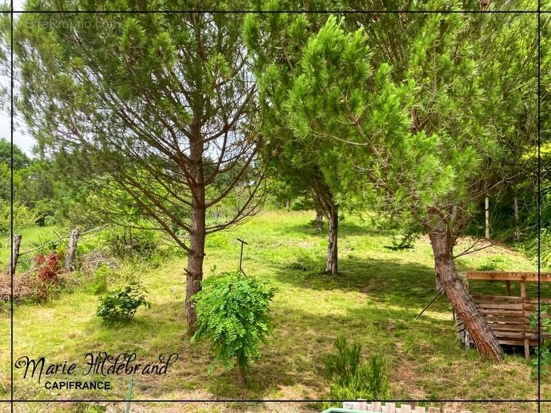 Maison à BON-ENCONTRE