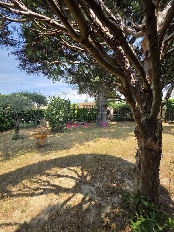 Maison 107 m² à Morieres-Les-Avignon  - photo 3