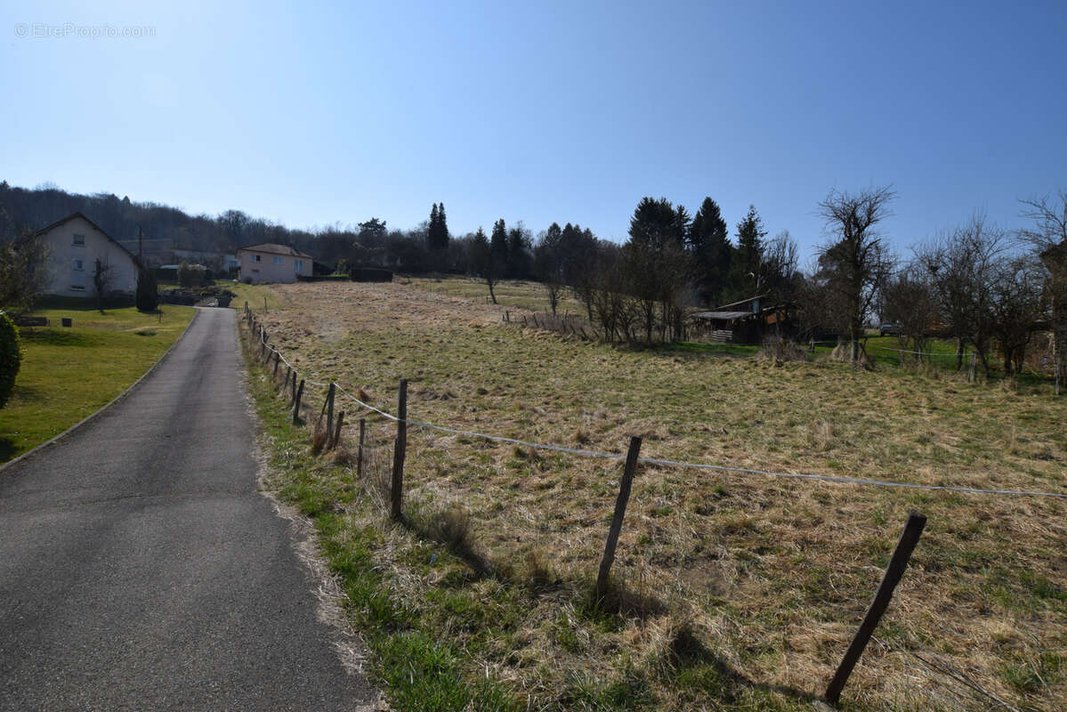 Superbe parcelle de terrain à bâtir de 8.18 ares - photo 2