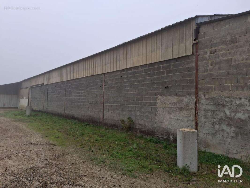 Photo 6 - Commerce à SAINT-NICOLAS-DE-LA-GRAVE