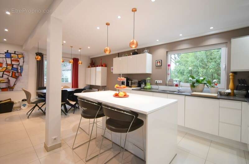 Maison à VILLETTE-D'ANTHON