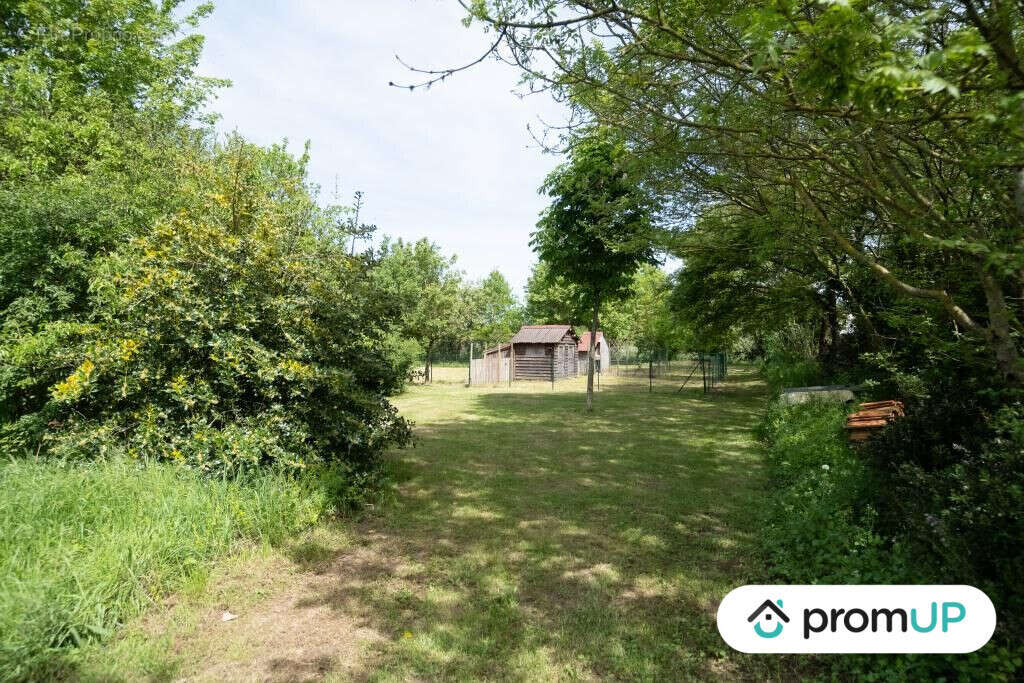 Maison à BAIN-DE-BRETAGNE