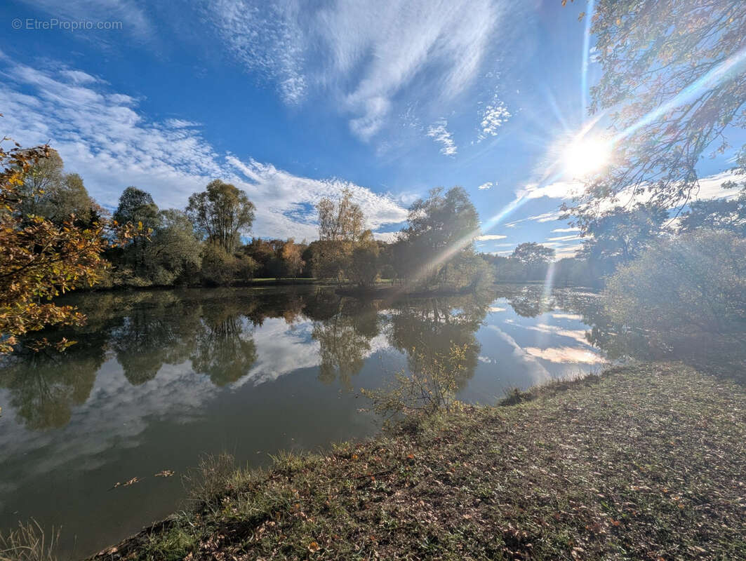 Terrain à LE CHATELET