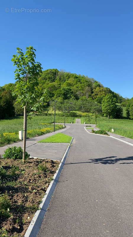 Terrain à APREMONT-LA-FORET