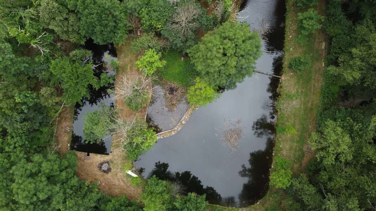 Terrain à BAILLESTAVY