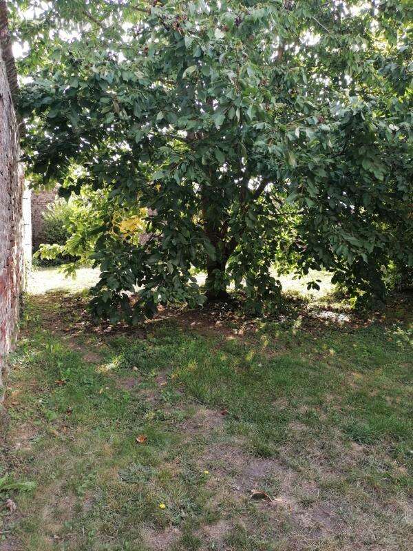 Maison à BEAUREVOIR