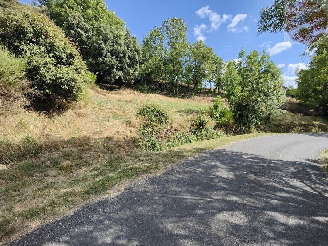 Terrain constructible de 2553m² en Cévennes Vallée Française - photo 11