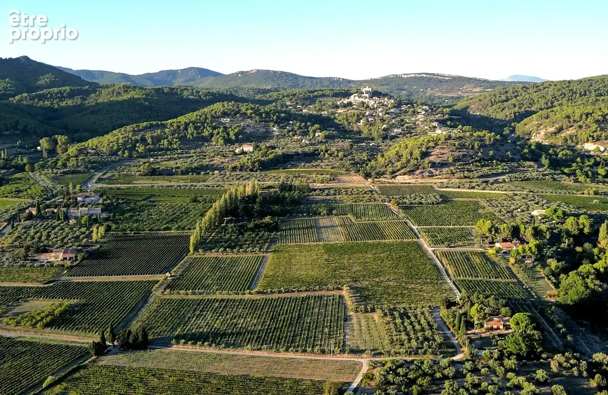 Demeure oliviers verger et vignes - photo 13