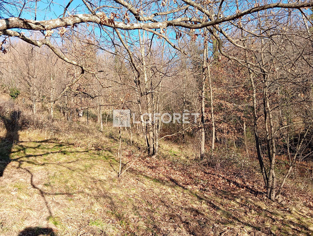 Terrain à PRATS-DE-MOLLO-LA-PRESTE