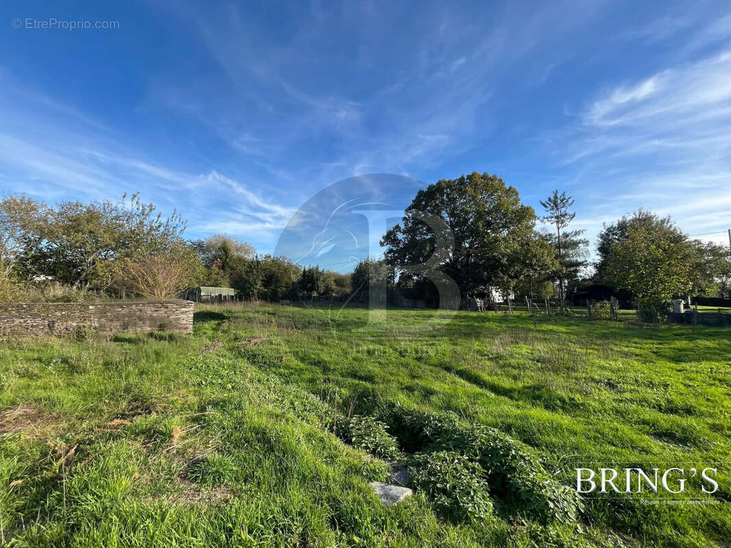 Terrain à GRAND-AUVERNE