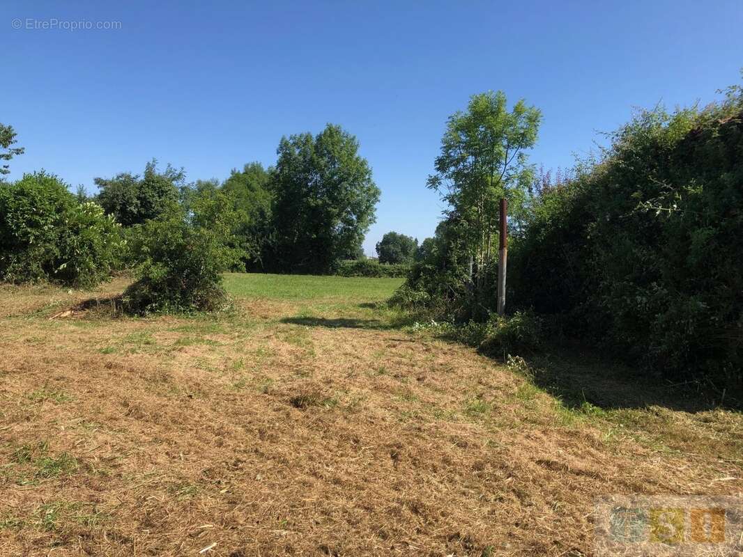Maison ancienne avec dépendances sur un terrain de 5227 m² - photo 7