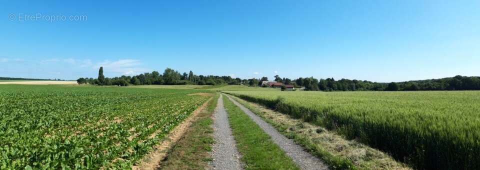 Terrain à BOULLAY-LES-TROUX