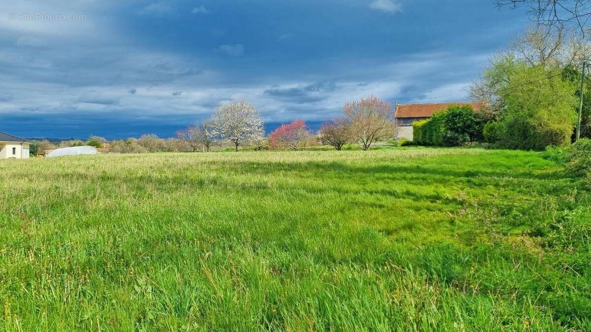 Terrain à CLERMONT-DE-BEAUREGARD