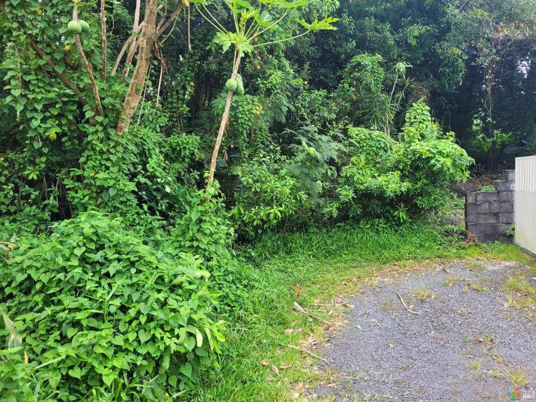 Terrain à SAINT-BENOIT
