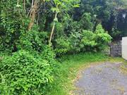 Terrain à SAINT-BENOIT