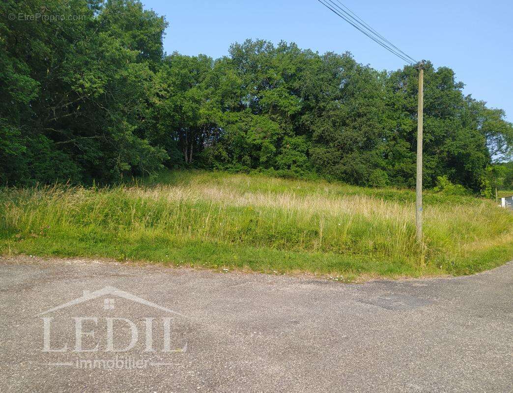 Terrain à LA CROIX-BLANCHE