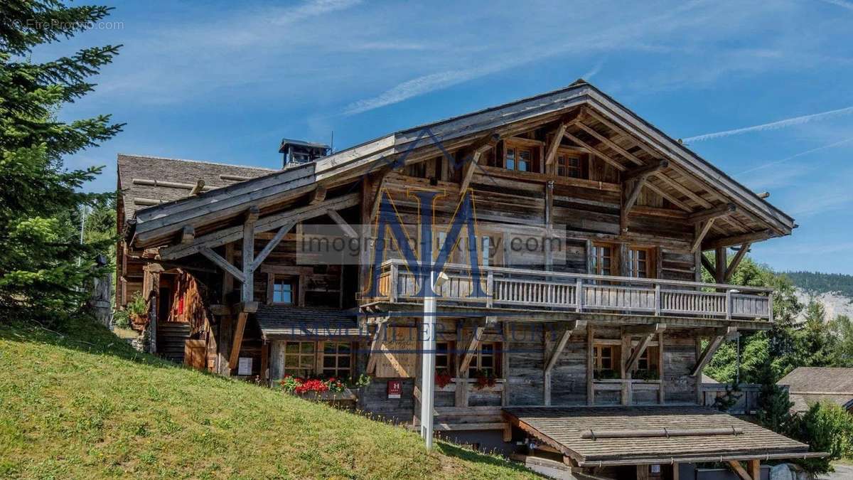 Commerce à ARACHES-LA-FRASSE