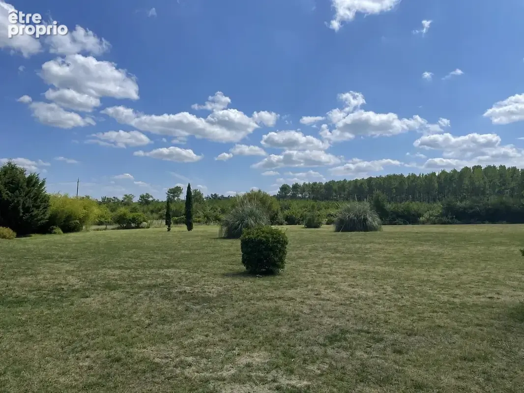 Maison d’architecte avec parc, piscine – Casteljaloux - photo 22