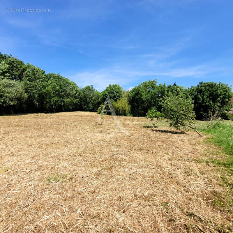 Terrain à LE CHAMP-SAINT-PERE