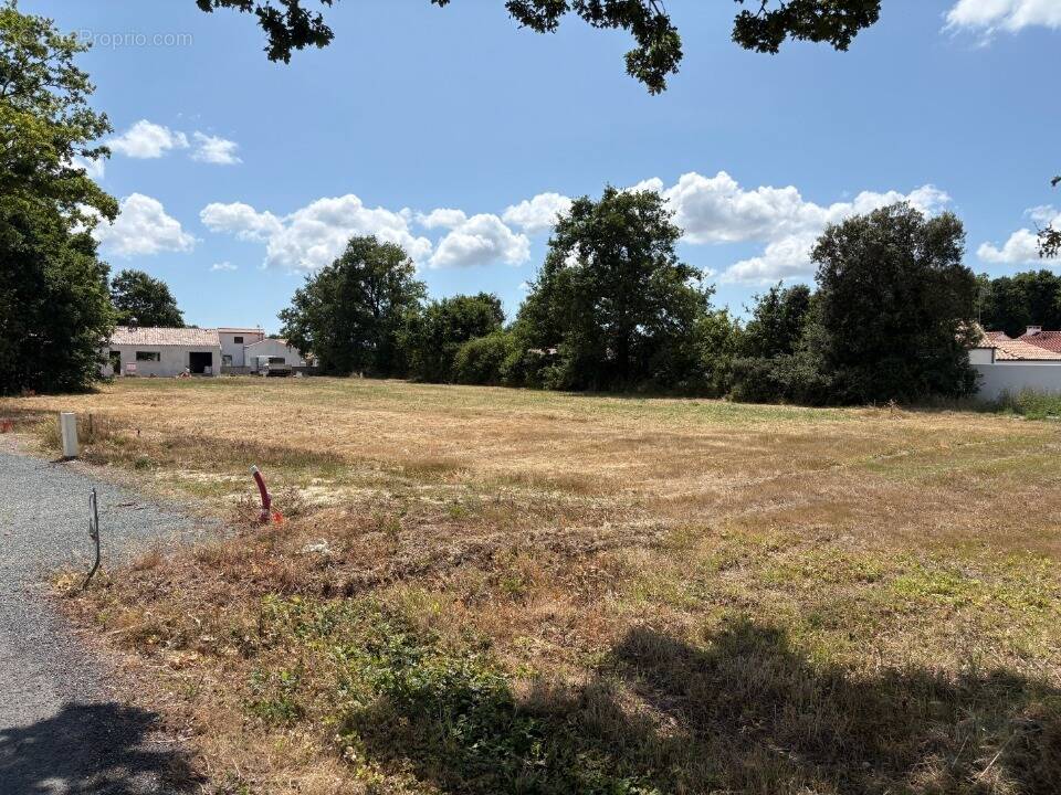 Terrain à COMMEQUIERS