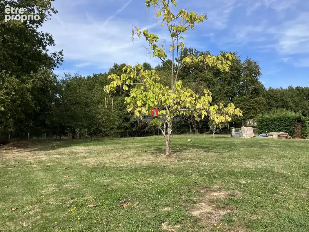 Maison 8 pièces 200 m² à vendre à Montendre (17130) - photo 2