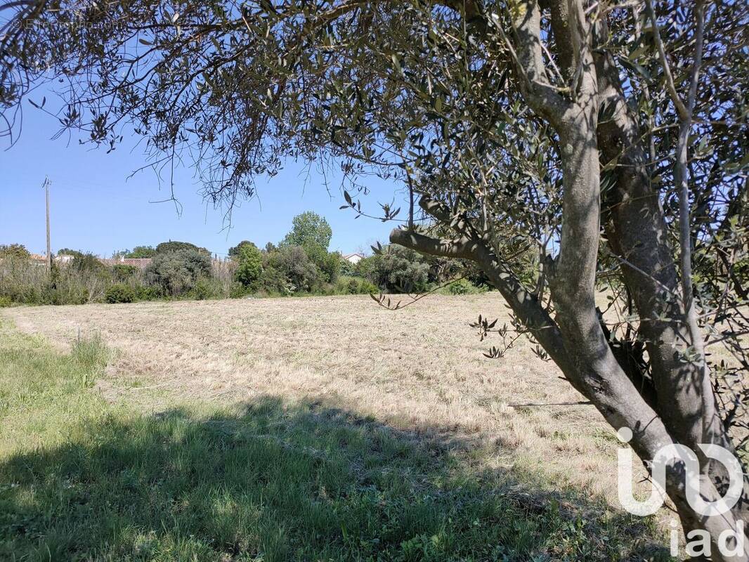 Photo 1 - Terrain à VALROS