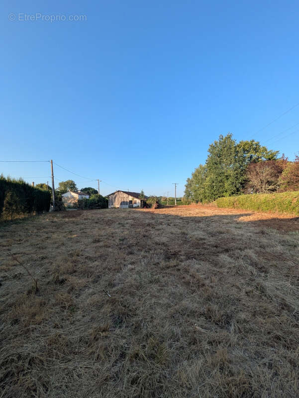 Terrain constructible de 1 793 m2   plat, non viabilisé - photo 12