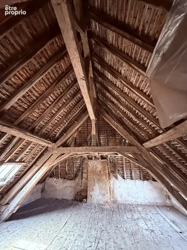 Hôtel particulier française à vendre à Cluis (Indre 36) - photo 27