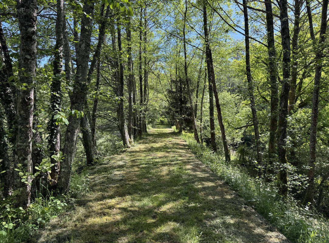 Terrain à LORMES