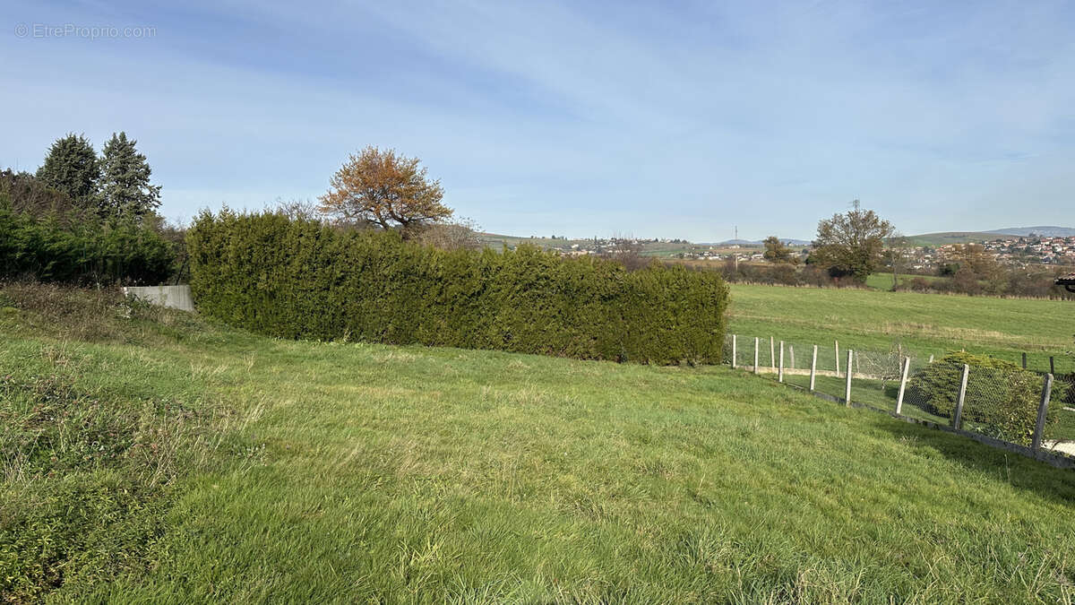 Terrain à SAINT-FORGEUX