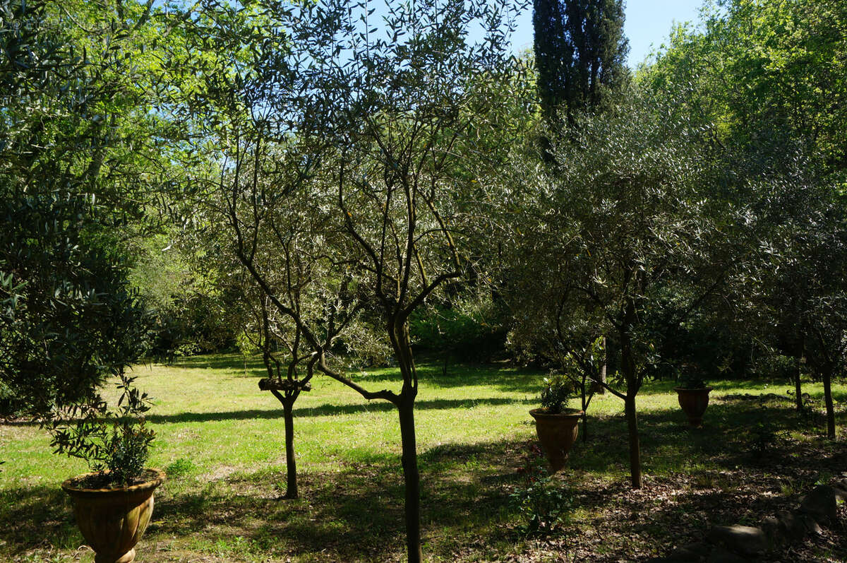 Terrain non constructible avec cabanon - photo 7