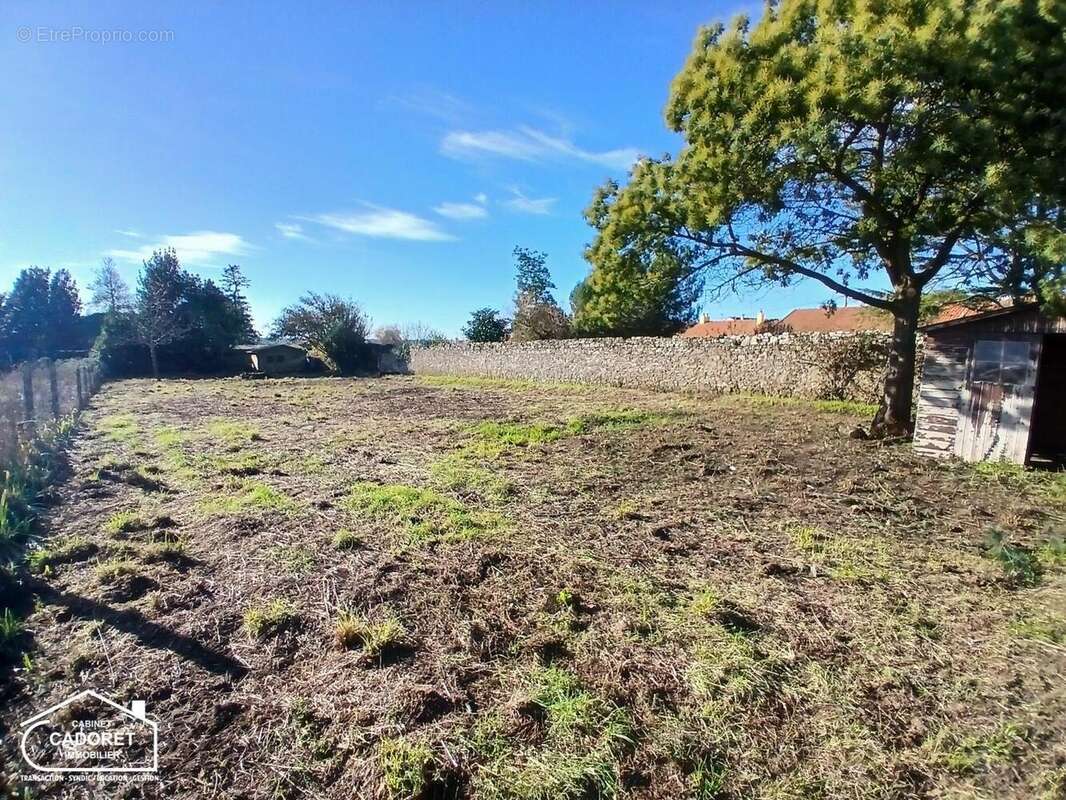   - Terrain à PAIMBOEUF