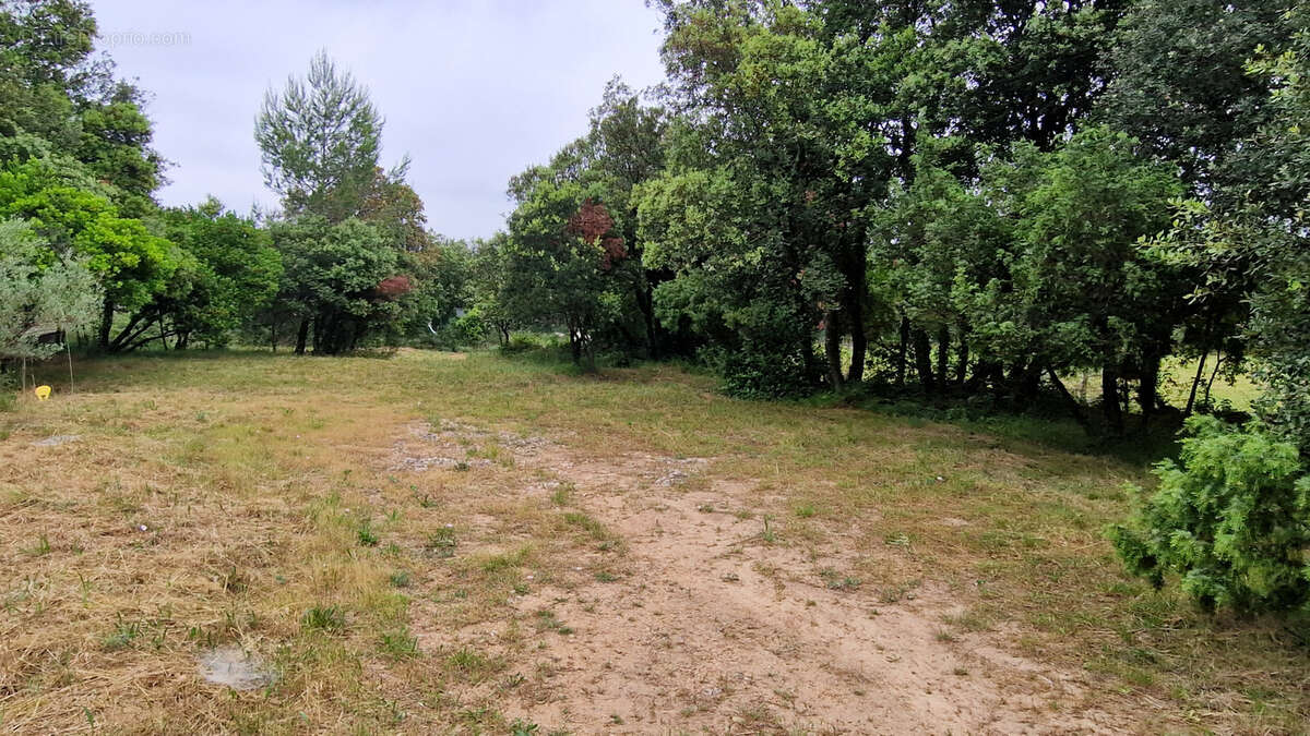 Terrain à LA BOISSIERE