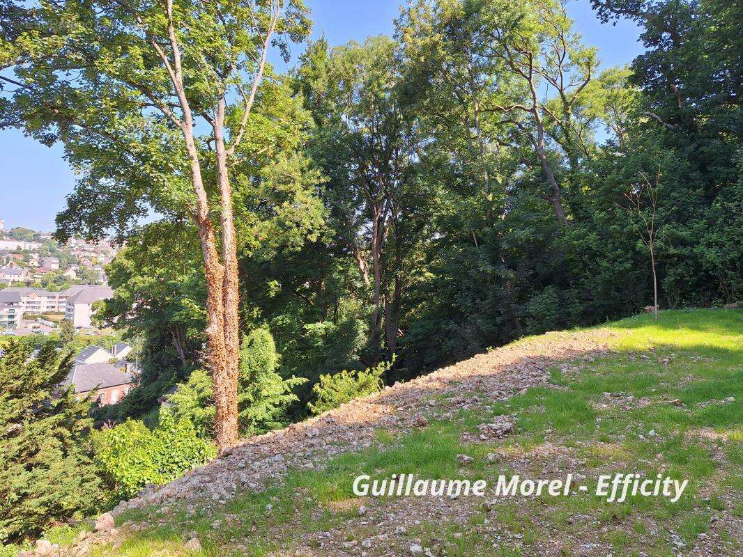 Terrain 2967 m² à Montivilliers  - photo 4